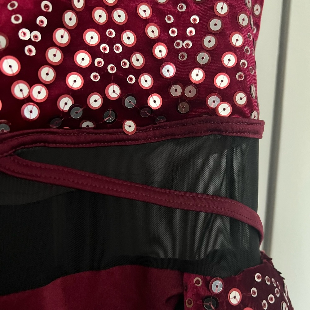 Weissman - Dance Costume - image 4